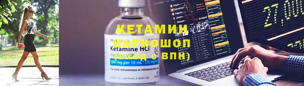 прущие грибы Михайлов