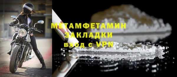 прущие грибы Михайлов