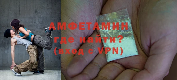прущие грибы Михайлов