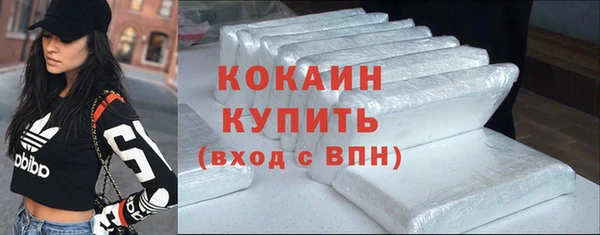 прущие грибы Михайлов