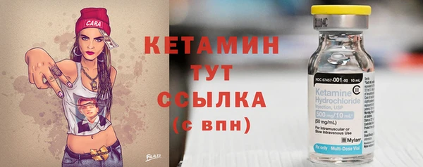 прущие грибы Михайлов