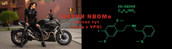 прущие грибы Михайлов