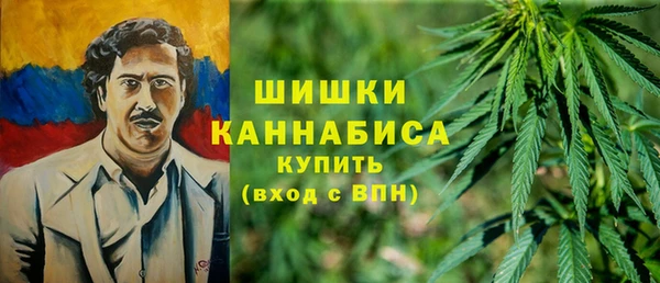 прущие грибы Михайлов