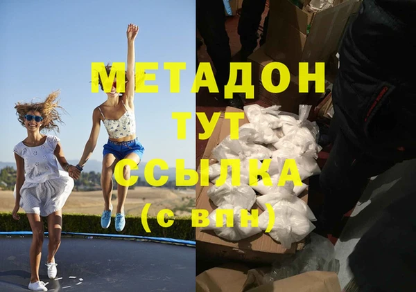 прущие грибы Михайлов