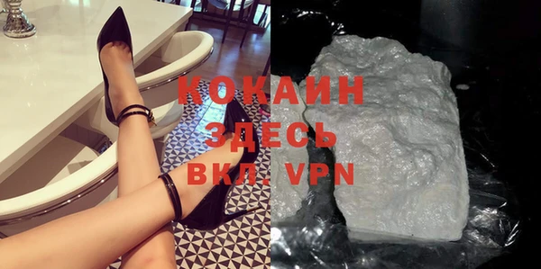 прущие грибы Михайлов