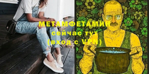прущие грибы Михайлов