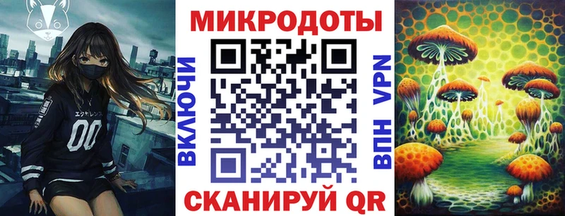 Галлюциногенные грибы Psilocybe Мышкин