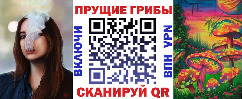 как найти закладки  Мышкин  Псилоцибиновые грибы мицелий 
