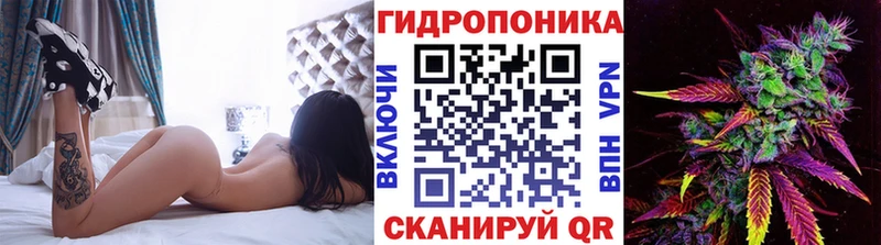Бошки марихуана Bruce Banner  дарк нет формула  Мышкин  где продают  